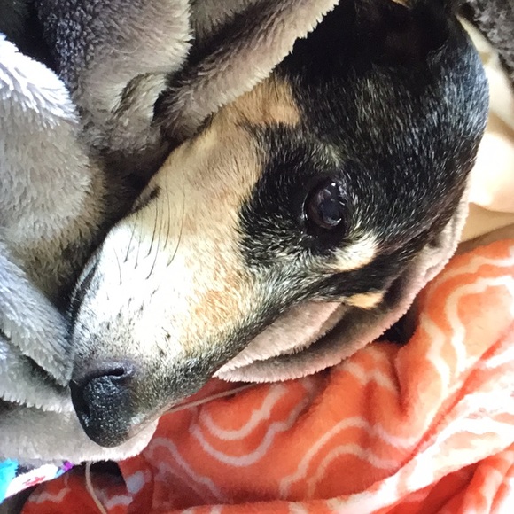 Meet your Posher, Melanie - Picture 3 of 3